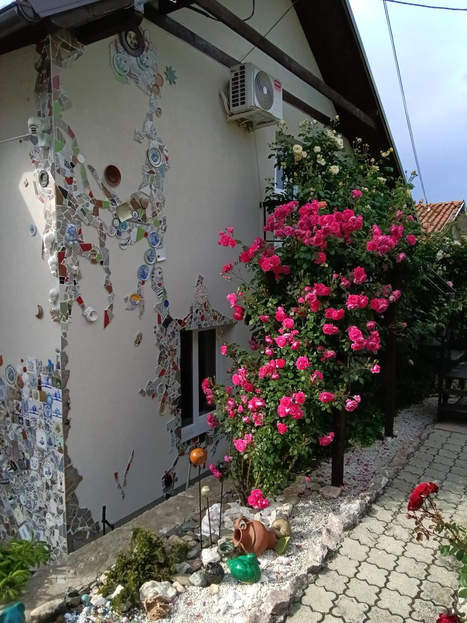 Apartment Cats Donji Milanovac Dış mekan fotoğraf